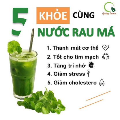 Bột Rau Má